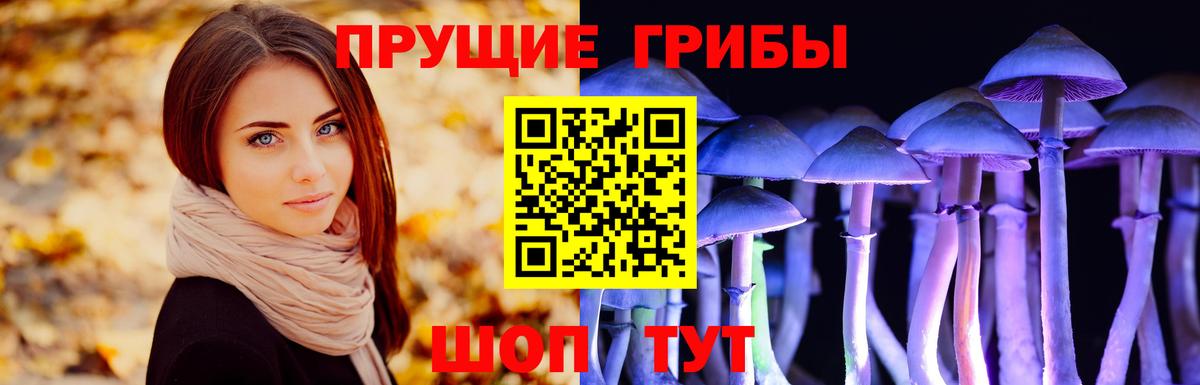 Солнечногорск  Псилоцибиновые грибы мухоморы  Вход с VPN 